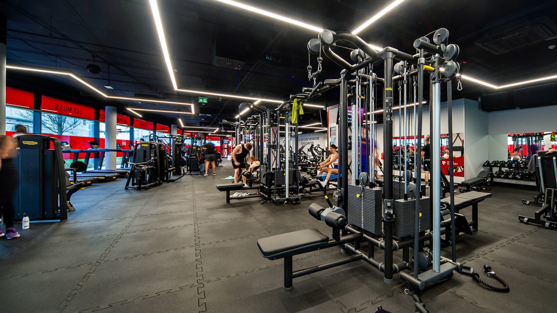 Obrázek z posilovny