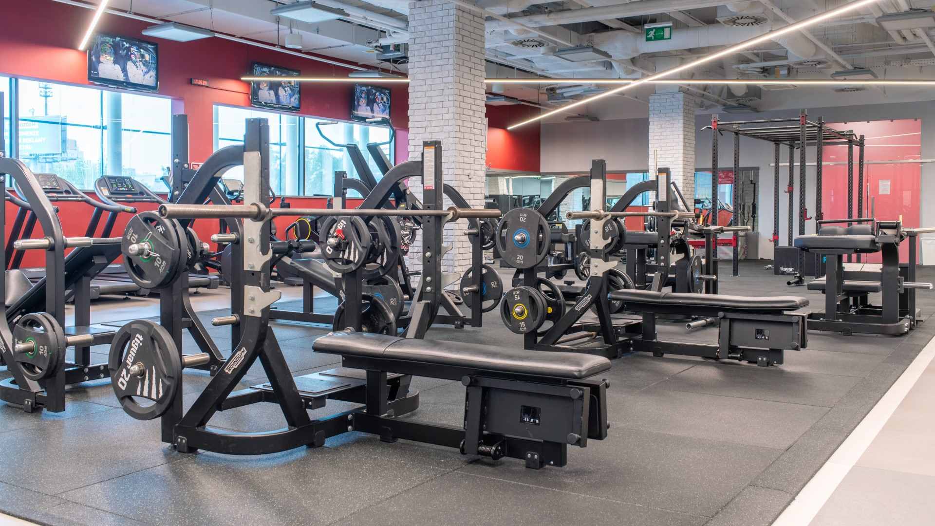 Obrázek z posilovny